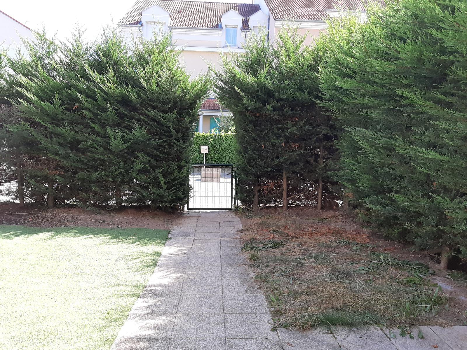 Photo 4